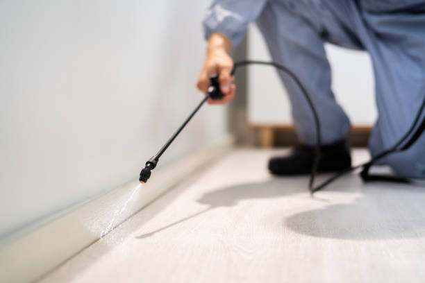 Licensed Termite Control service in Sunnyvale, CA - Nex Pest Control