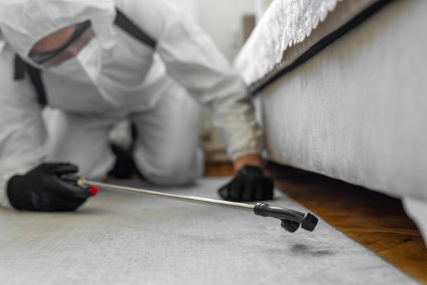 Professional Termite Control technician working in Sunnyvale, CA