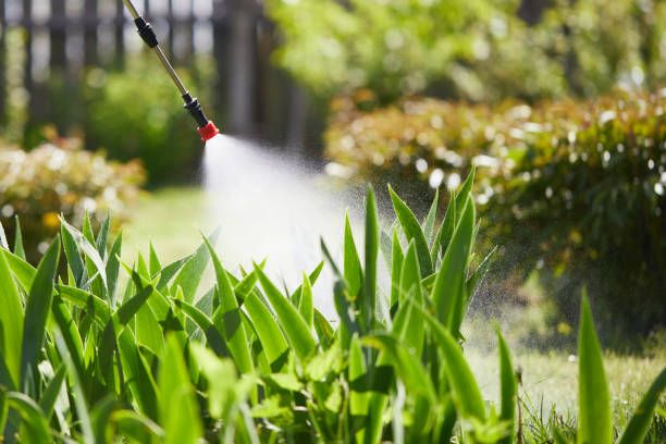 24/7 Emergency Termite Control experts in Sunnyvale, CA