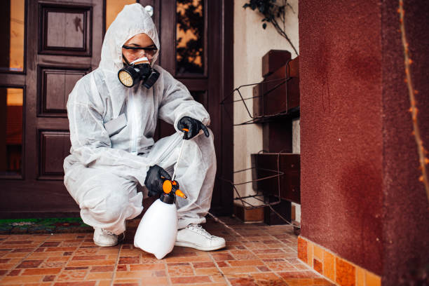 Reliable Termite Control contractor in Sunnyvale, CA by Nex Pest Control