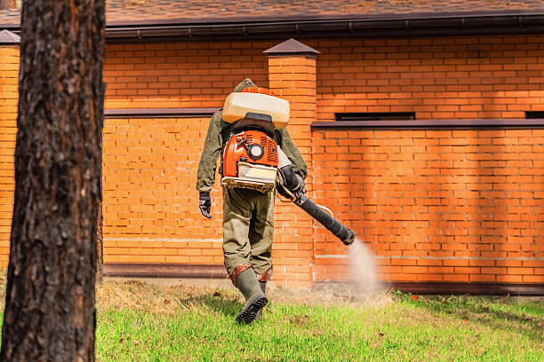 Trusted Termite Control service in Sunnyvale, CA - Nex Pest Control